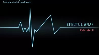 Transportatorii, reîncadrarea diurnelor, incoerența și ANAF-ul