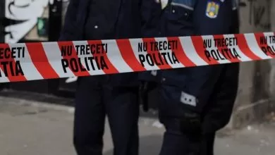 bursele de transport