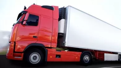 firmele de asigurări