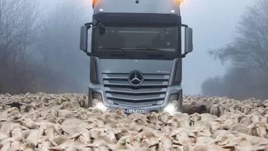 Actros SLT, față-n față cu încăpățânarea