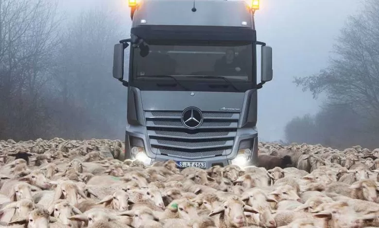 Actros SLT, față-n față cu încăpățânarea