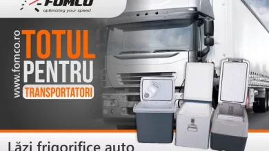 Recomandări privind alegerea produsele frigorifice din cabina șoferului