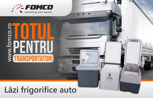 Recomandări privind alegerea produsele frigorifice din cabina șoferului