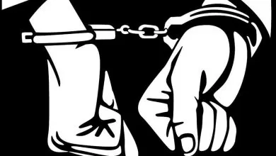 Italia a introdus în Codul Rutier termenul de omor stradal 2 Italia a introdus în legea penală termenul de omor stradal