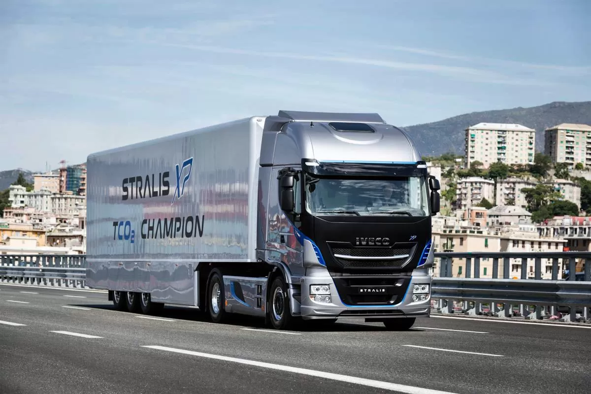 13411887 1039736372772801 8500342481443534529 o