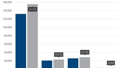 Piața europeană de vehicule comerciale este în creștere