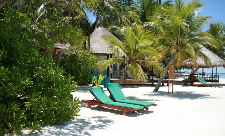 O vară fără griji și economii la factura de carburant