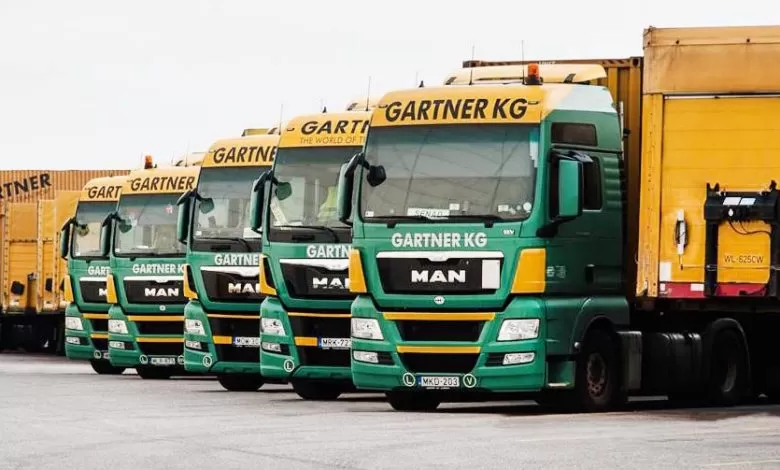 Acționarul principal Gartner KG condamnat la închisoare