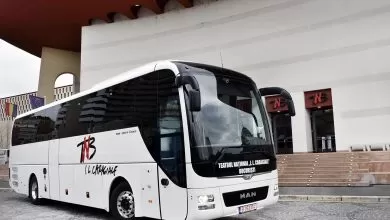 man lions coach teatrul national bucuresti