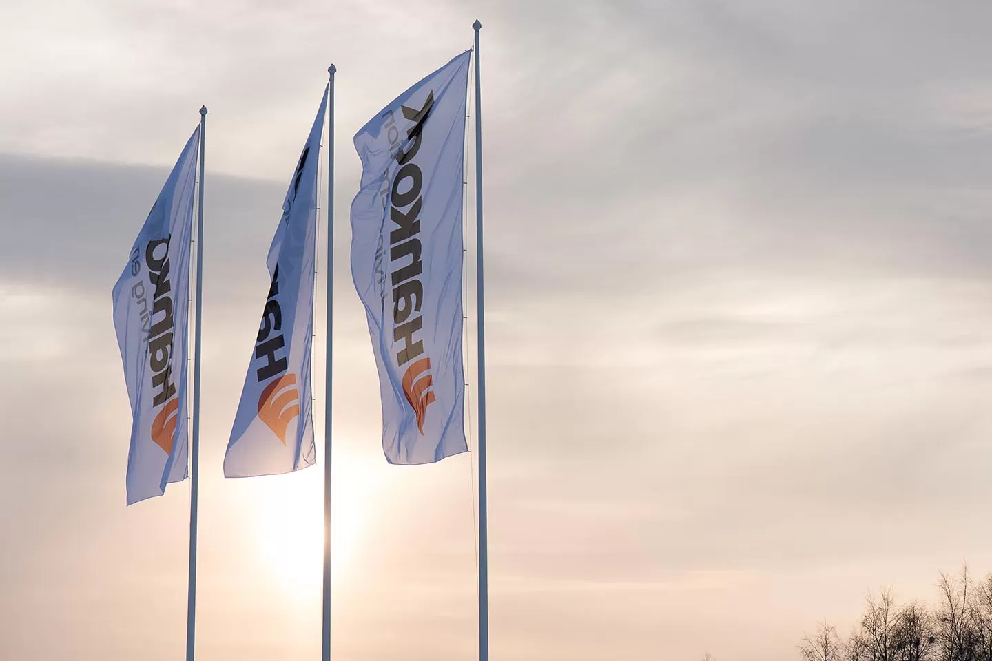 hankoo european winter center 4