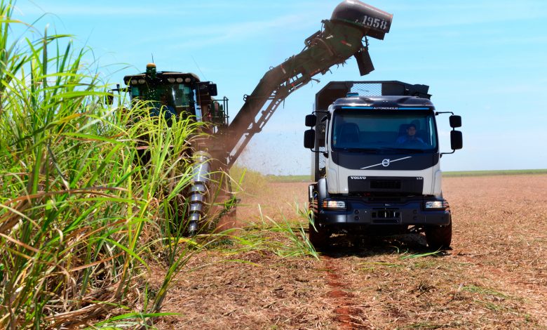 Brazilienii transportă trestia de zahăr cu un camion autonom Volvo