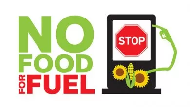 Uniunea Europeană va retrage sprijinul biocombustibililor din plante