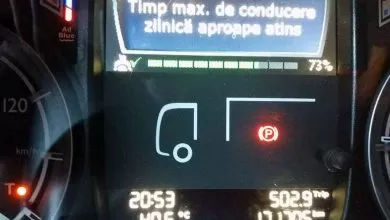 Fenomenul de socializare în parcările din vest 1 Cum decurge fenomenul de socializare în parcările din vest