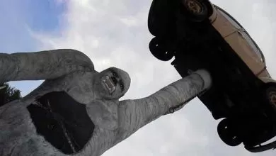 Volkswagen a forțat mai multe maimuțe să inhaleze vapori de emisii diesel