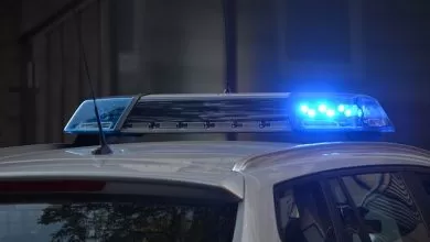 Șofer de camion român prins cu licență de transport falsă în Germania
