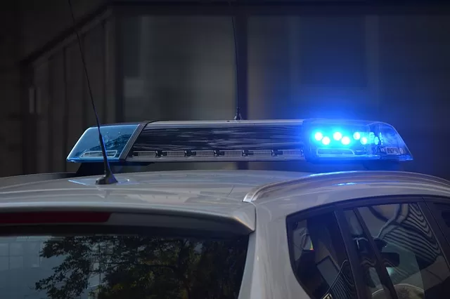 Șofer de camion român prins cu permis de conducere fals în Germania 1 Șofer de camion român prins cu licență de transport falsă în Germania