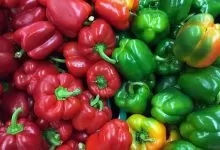 Provocările logistice a livrării de fructe și legume proaspete