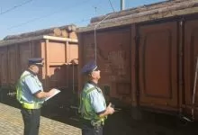 Peste 7.400 mc de lemn transportat ilegal pe calea ferată, confiscat de polițiști