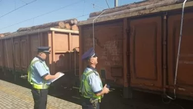 Peste 7.400 mc de lemn transportat ilegal pe calea ferată, confiscat de polițiști