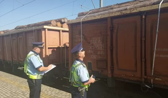 Peste 7.400 mc de lemn transportat ilegal pe calea ferată, confiscat de polițiști