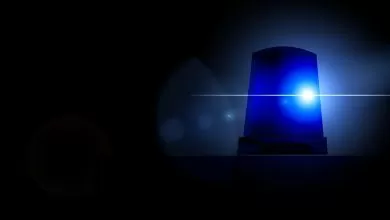 Companie de transport din Olanda implicată în traficul internațional de droguri 8 Companie de transport din Olanda implicată în traficul internațional de droguri