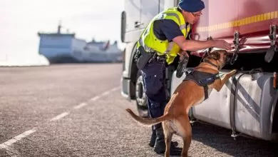 19 migranți albanezi descoperiți într-un camion înmatriculat în România