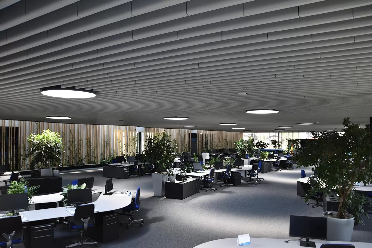 Tirolia Spedition a investit 6 milioane de euro în noul sediu din Ebbs