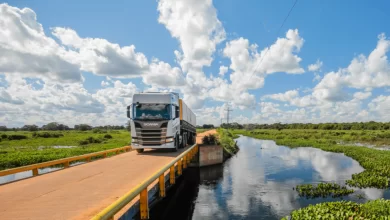 Potențialul bioeconomiei în viziunea de Scania 6 Potențialul bioeconomiei în viziunea de Scania
