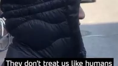 Mai multe persoane din conducerea Kurt Beier Transport A/S riscă până la 6 ani de închisoare