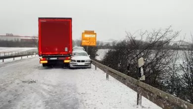 Intervenția curajoasă a șoferului unui camion a salvat o viață, pe un drum din Germania