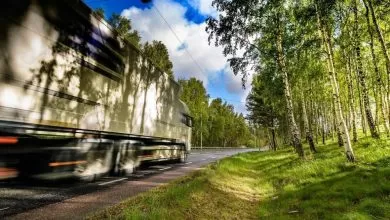 Din ce în ce mai multe cazuri de cabotaj ilegal descoperite în Suedia