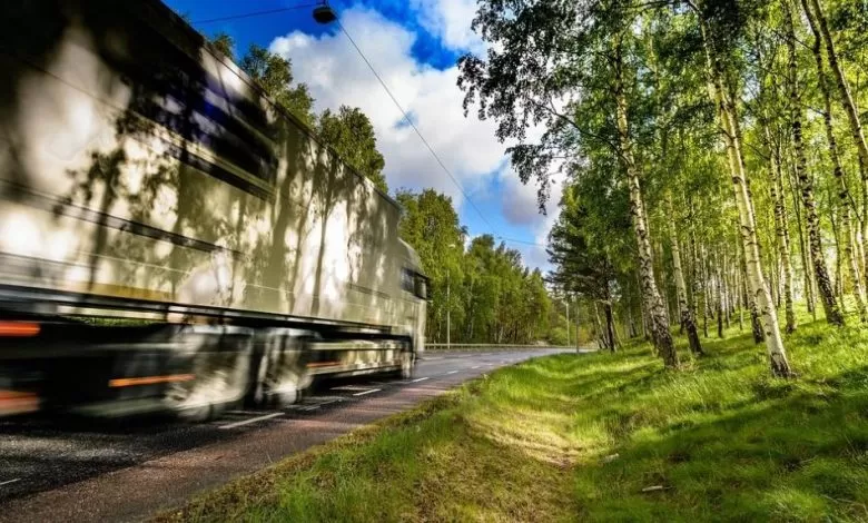 Din ce în ce mai multe cazuri de cabotaj ilegal descoperite în Suedia