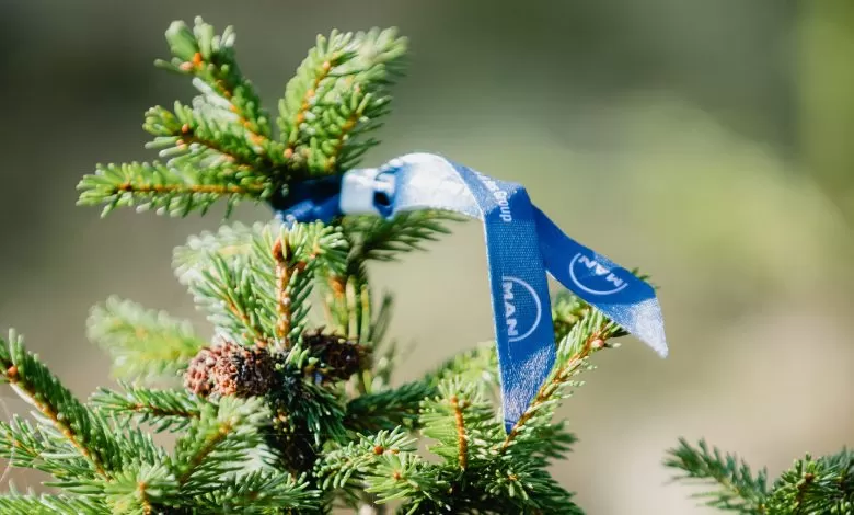 ”MAN plantează un viitor curat”, inițiativa de împădurire din zona Ghimeș Făget