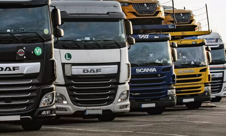 Danemarca reduce amenzile pentru parcarea pe termen lung a camionului CJUE 25 de ore