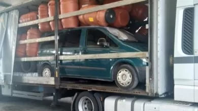 Ce mai ascundem sub marfă: Vito furat în Italia, găsit la granița cu România