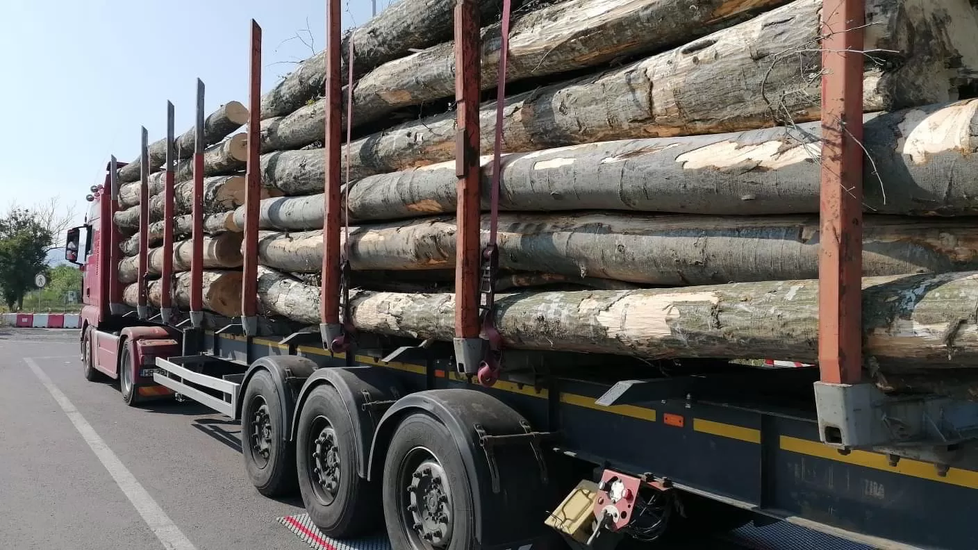 ISCTR a aplicat amenzi totale de peste 1,7 mil. de lei în cadrul ultimelor acțiuni de control