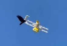Livrările cu drone din Australia, suspendate după atacurile ciorilor (VIDEO)