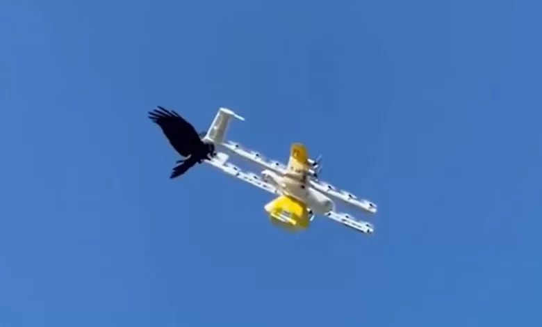 Livrările cu drone din Australia suspendate după atacurile ciorilor (VIDEO) 1 Livrările cu drone din Australia, suspendate după atacurile ciorilor (VIDEO)