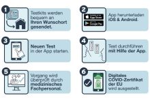 Germania: Autotestare Covid cu certificare, prin telemedicină