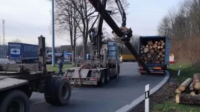 Camioane cu supratonaj scoase din trafic de poliția germană