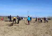 Mercedes plantează un copac pentru fiecare camion și autobuz înmatriculat în România 10 Mercedes plantează un copac pentru fiecare camion și autobuz înmatriculat în România