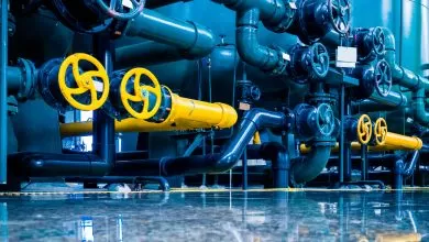 Putin: "Rusia poate exporta gaz și petrol în alte regiuni ale lumii"