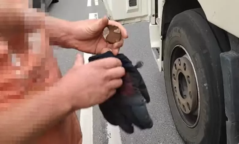 Polonia: Șofer de camion prins cu un magnet ascuns în mănușă (VIDEO)
