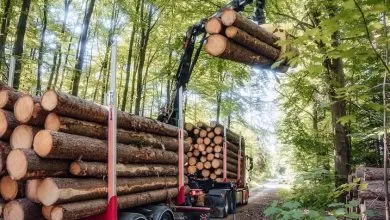 Hiab a lansat o nouă generație de macarale forestiere LOGLIFT