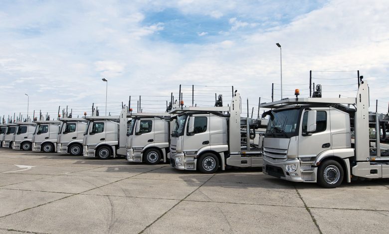 Companiile de transport lituaniene înmatriculează noi camioane în străinătate