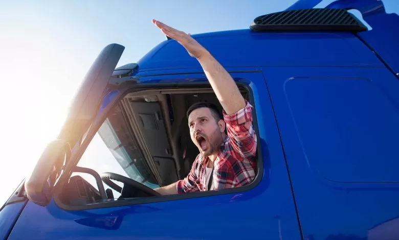 Germania: Șoferul agresiv al unui camion amendat cu 1.000 de euro
