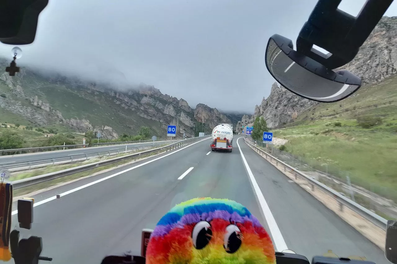 soferita felicia pe drumurile din europa