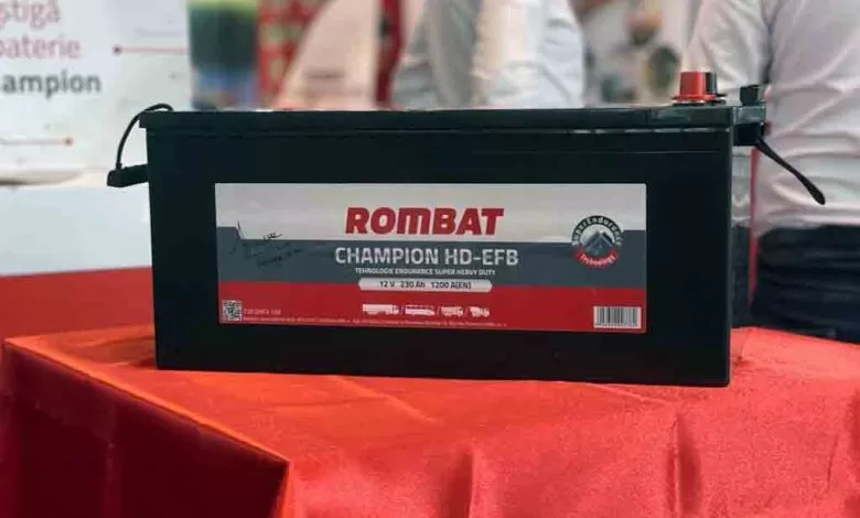 Rombat parte a unui cartel al bateriilor auto la nivel european