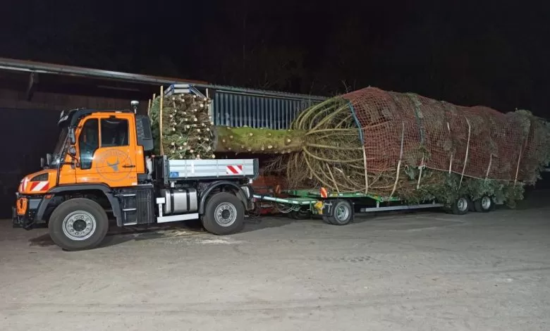 Unimog a transportat un brad de Crăciun între Paderborn și Berlin 1 Unimog a transportat un brad de Crăciun între Paderborn și Berlin