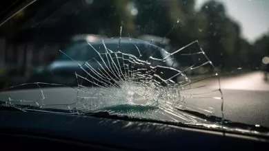 Șofer român de camion, acuzat în 10 cazuri de tentativă de omor 1 Șofer român de camion, acuzat în 10 cazuri de tentativă de omor